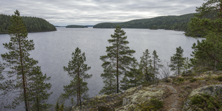 Natururlaub in Skandinavien: Wälder, Seen, Fjorde und Weite